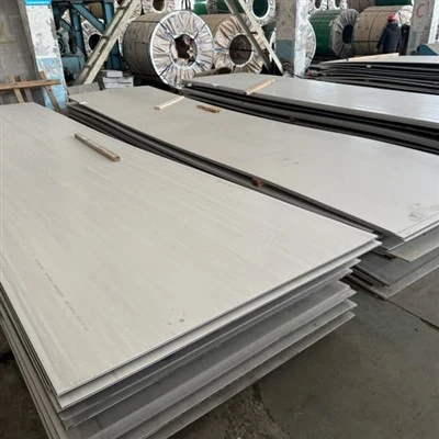 Folja SS310